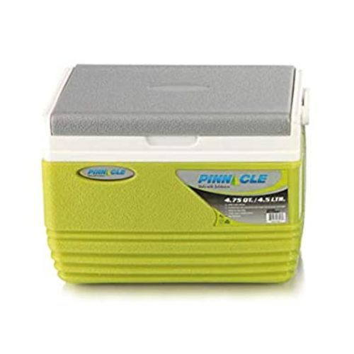 Cooler Box For Chilling And Cooling Drinks-Green/Grey