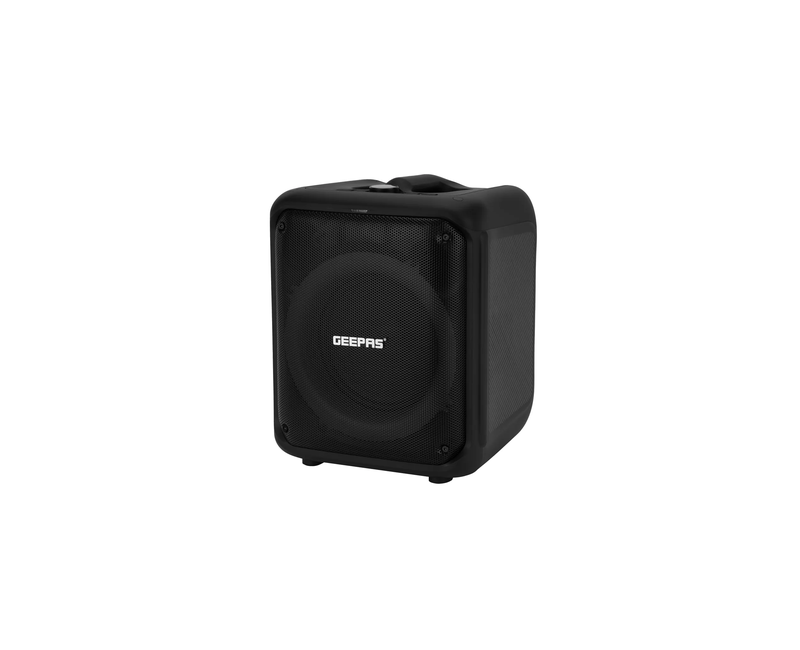 GMS 11161 - Party Speaker