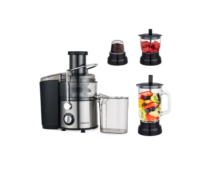 4 In 1 Juicer Extractor For Grinding And Blending-Black/Silver