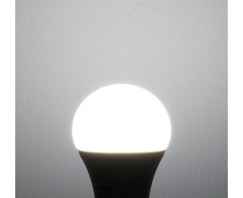 Bulb LED Tronic 13W B22 DL LE 1322-DL