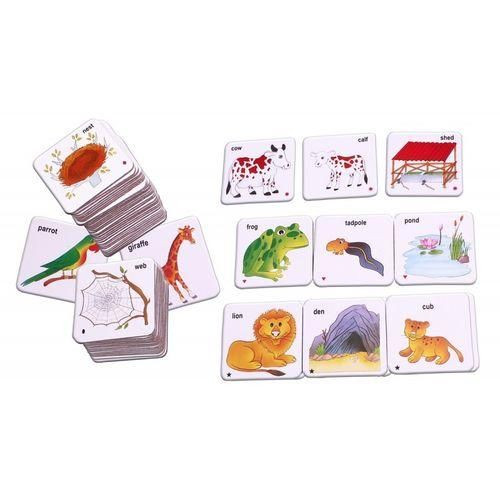 Animals Families & Their Homes.