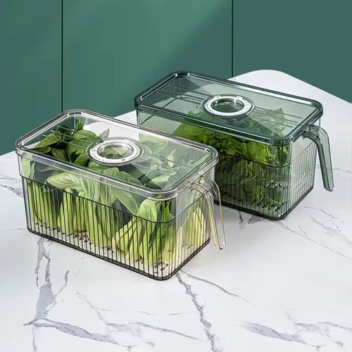 Other 2 Pieces Acrylic Fridge Containers With Covers And Handles- Multicolor