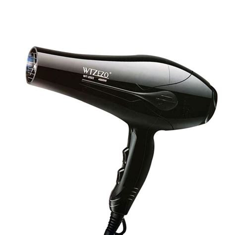 WTZEZO Smart Air design Hair Dryer - Black