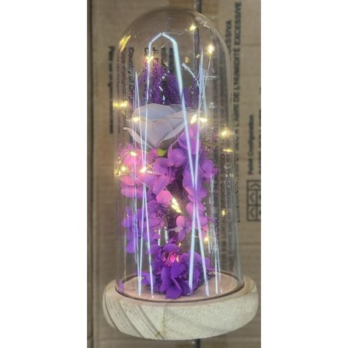 Christmas Eternal Flower in a Glass Dome with LED Lights . Assorted color