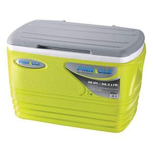 Pinnacle Insulated Water Cooler Ice Chiller Box 4.5L,Green.